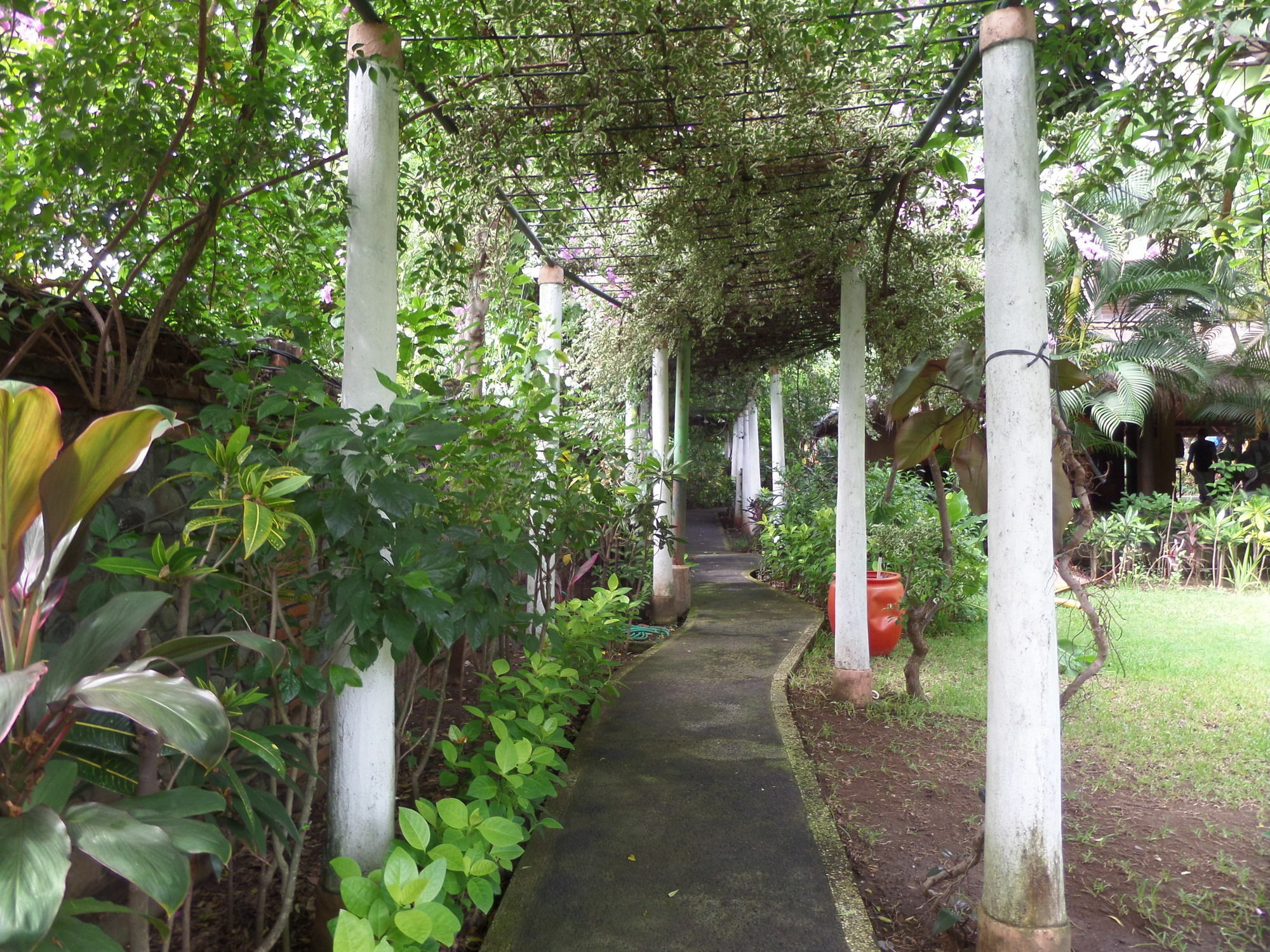 Taman Selini Wahana Beach Resort Pemuteran Exteriér fotografie