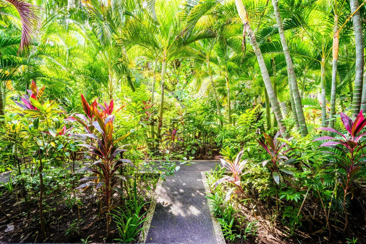 Taman Selini Wahana Beach Resort Pemuteran Exteriér fotografie
